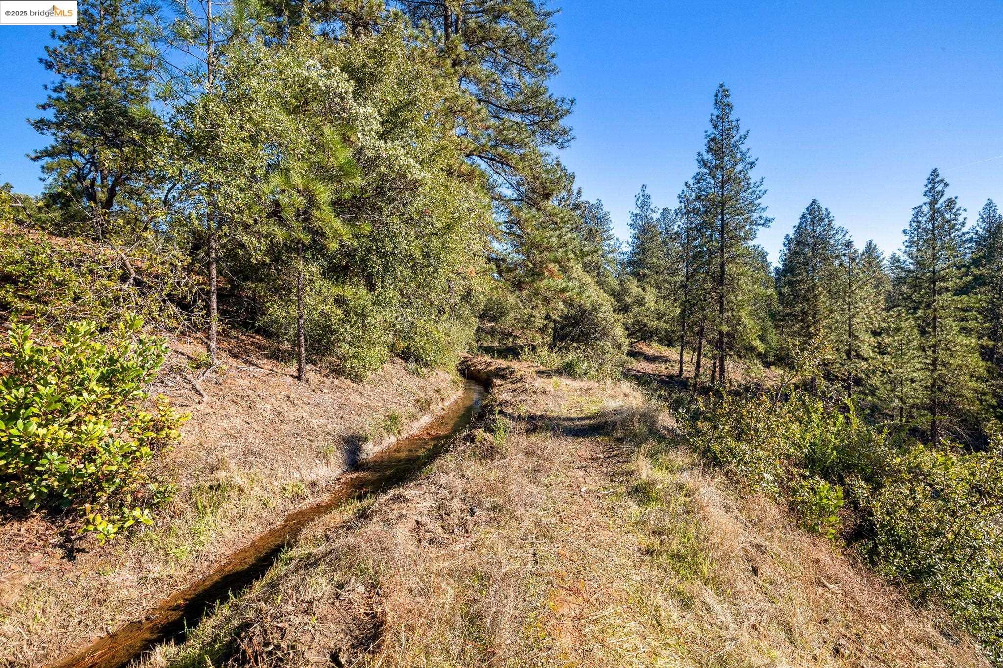 Detail Gallery Image 13 of 18 For 11210 Forest Park Rd, Columbia,  CA 95310 - – Beds | – Baths