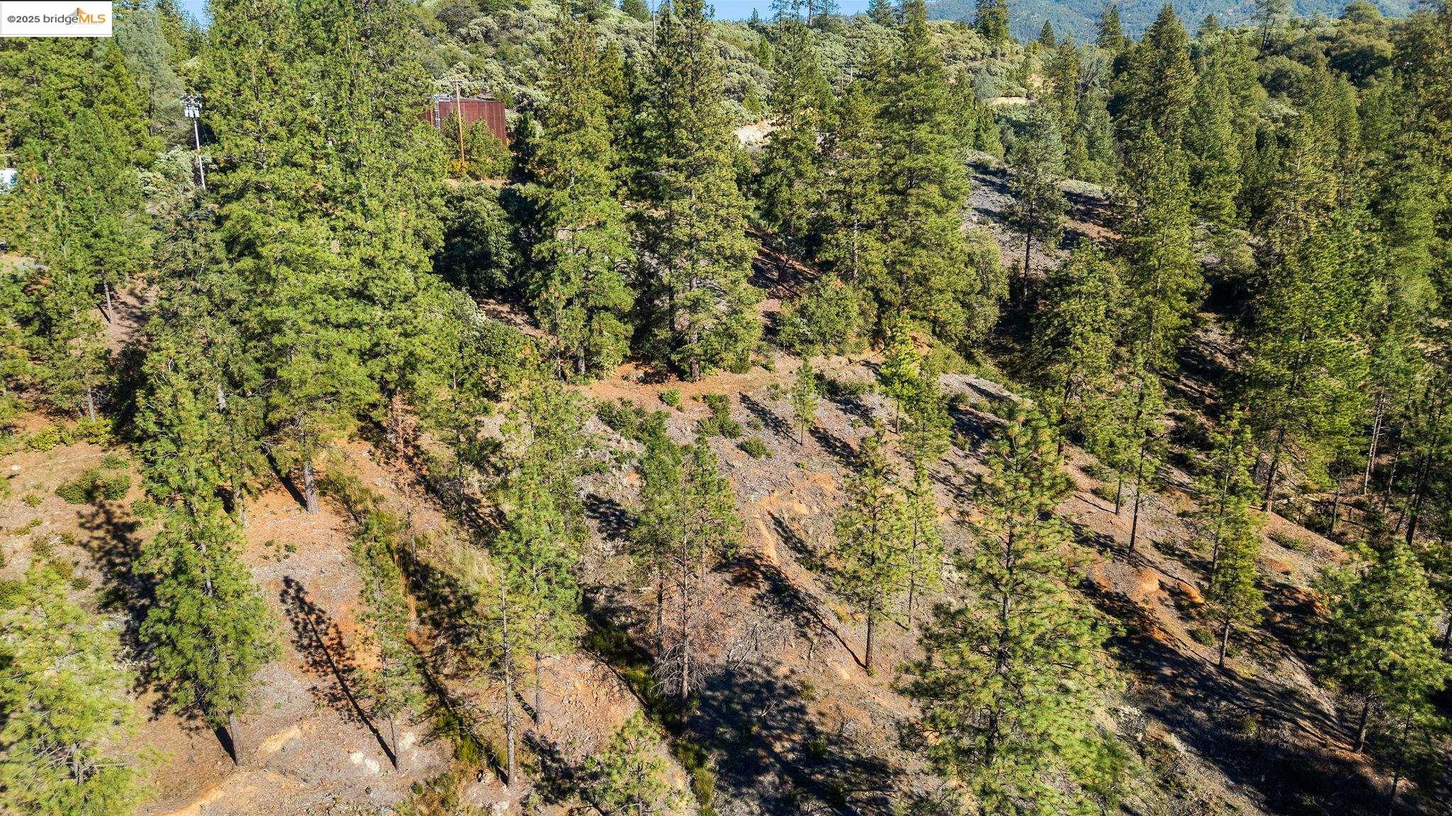 Detail Gallery Image 14 of 18 For 11210 Forest Park Rd, Columbia,  CA 95310 - – Beds | – Baths