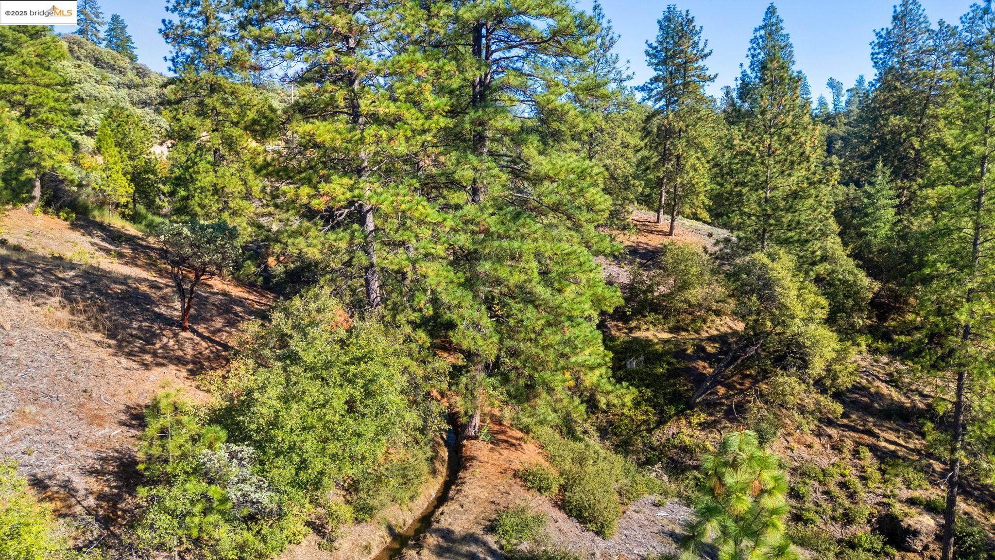 Detail Gallery Image 15 of 18 For 11210 Forest Park Rd, Columbia,  CA 95310 - – Beds | – Baths