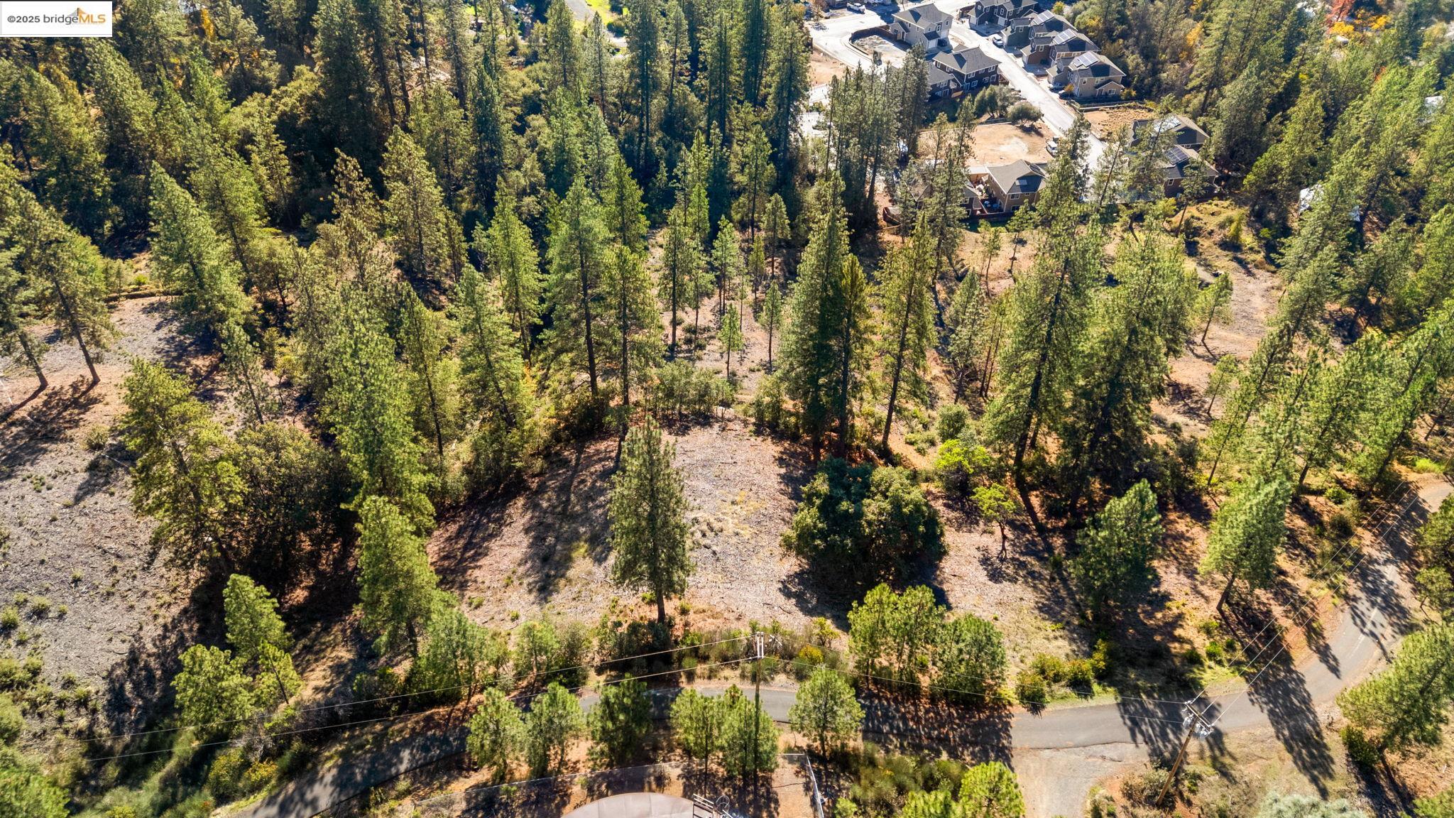 Detail Gallery Image 16 of 18 For 11210 Forest Park Rd, Columbia,  CA 95310 - – Beds | – Baths