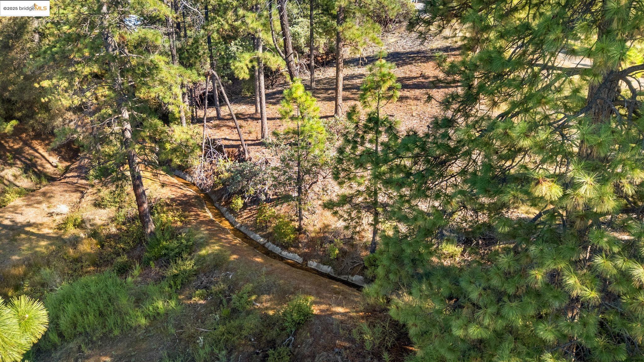 Detail Gallery Image 3 of 18 For 11210 Forest Park Rd, Columbia,  CA 95310 - – Beds | – Baths