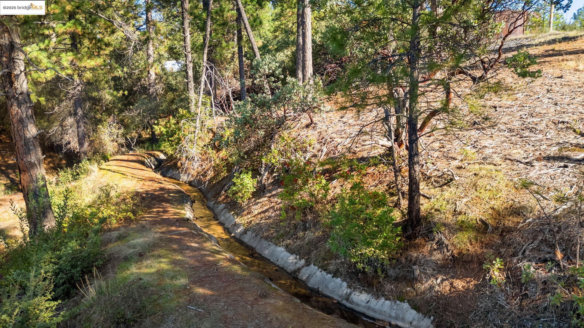 Detail Gallery Image 4 of 18 For 11210 Forest Park Rd, Columbia,  CA 95310 - – Beds | – Baths