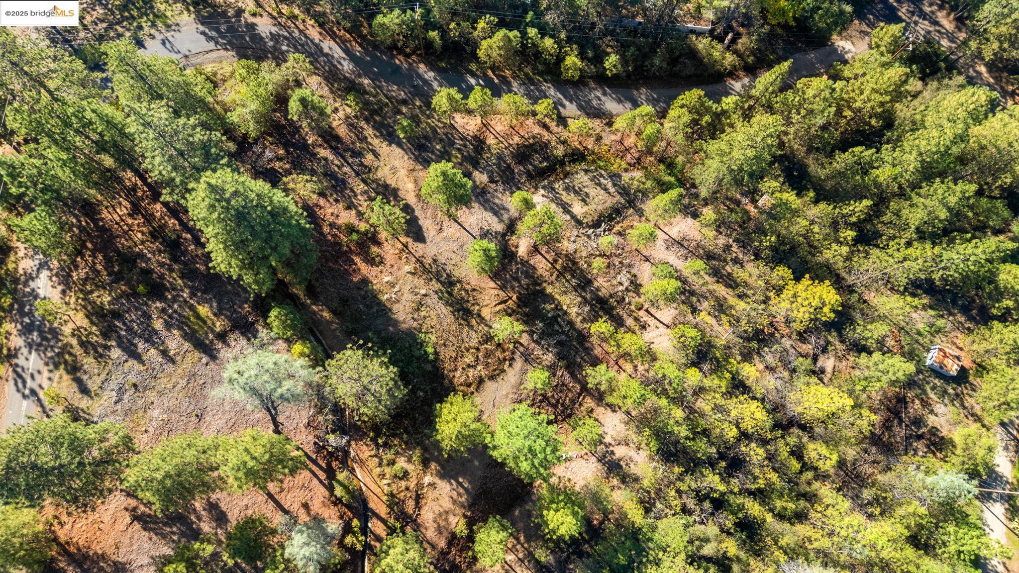 Detail Gallery Image 6 of 18 For 11210 Forest Park Rd, Columbia,  CA 95310 - – Beds | – Baths