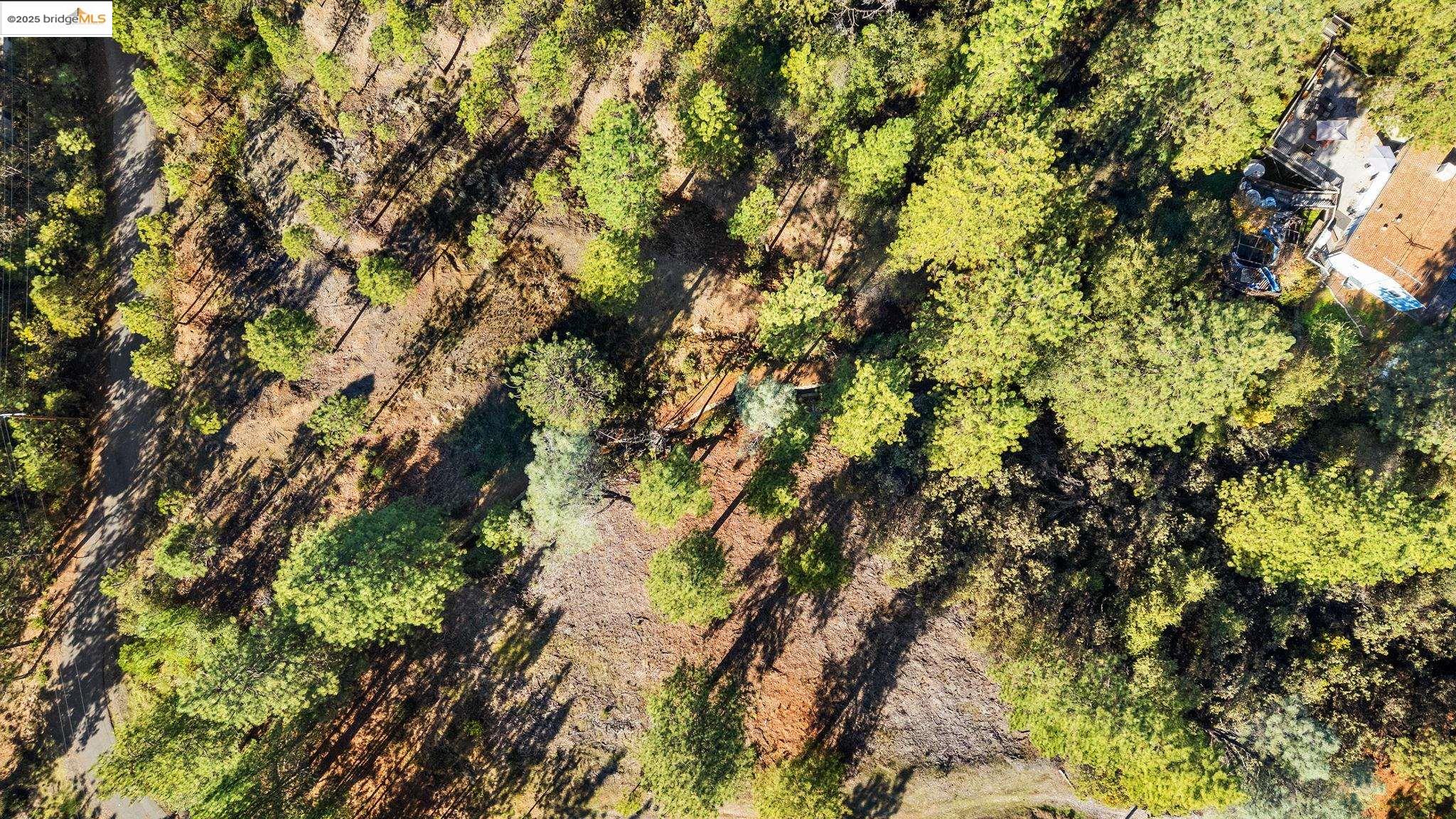 Detail Gallery Image 7 of 18 For 11210 Forest Park Rd, Columbia,  CA 95310 - – Beds | – Baths