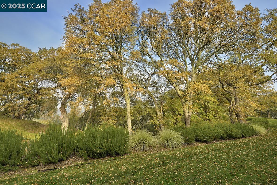 Photo #20: 41118917 Listing: Photo #20