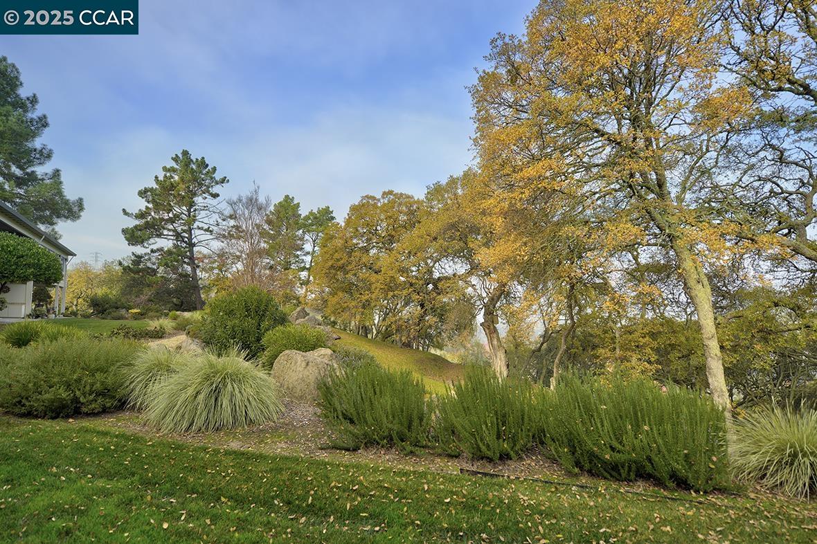 Photo #21: 41118917 Listing: Photo #21