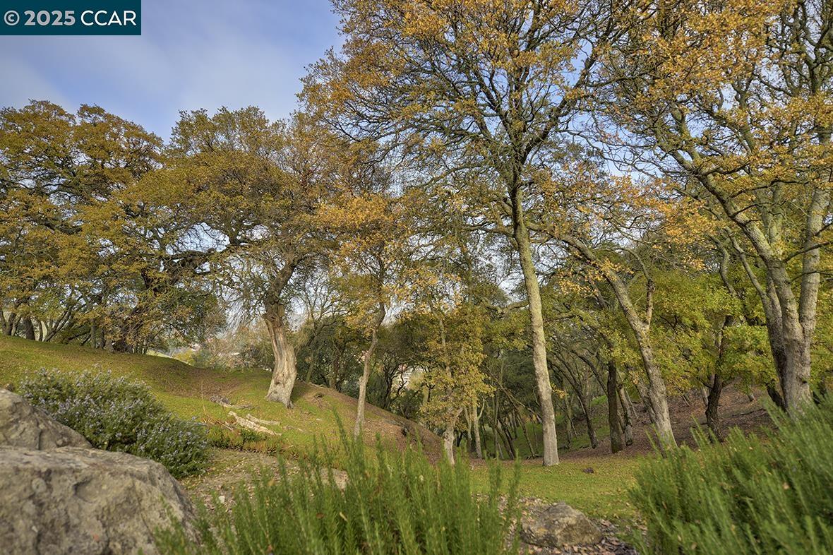 Photo #22: 41118917 Listing: Photo #22