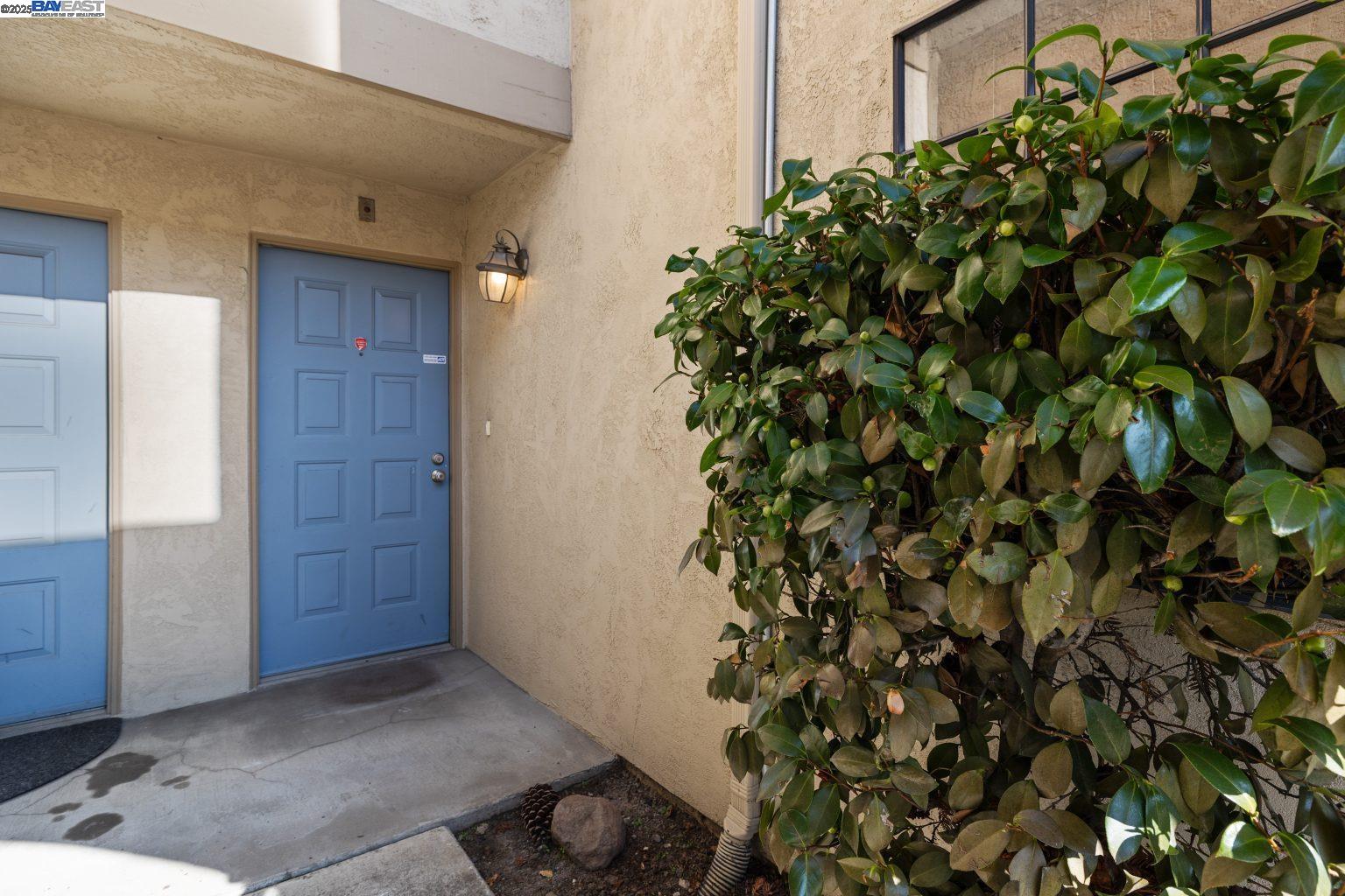 Detail Gallery Image 2 of 43 For 5311 Port Sailwood Dr, Newark,  CA 94560 - 3 Beds | 2/1 Baths