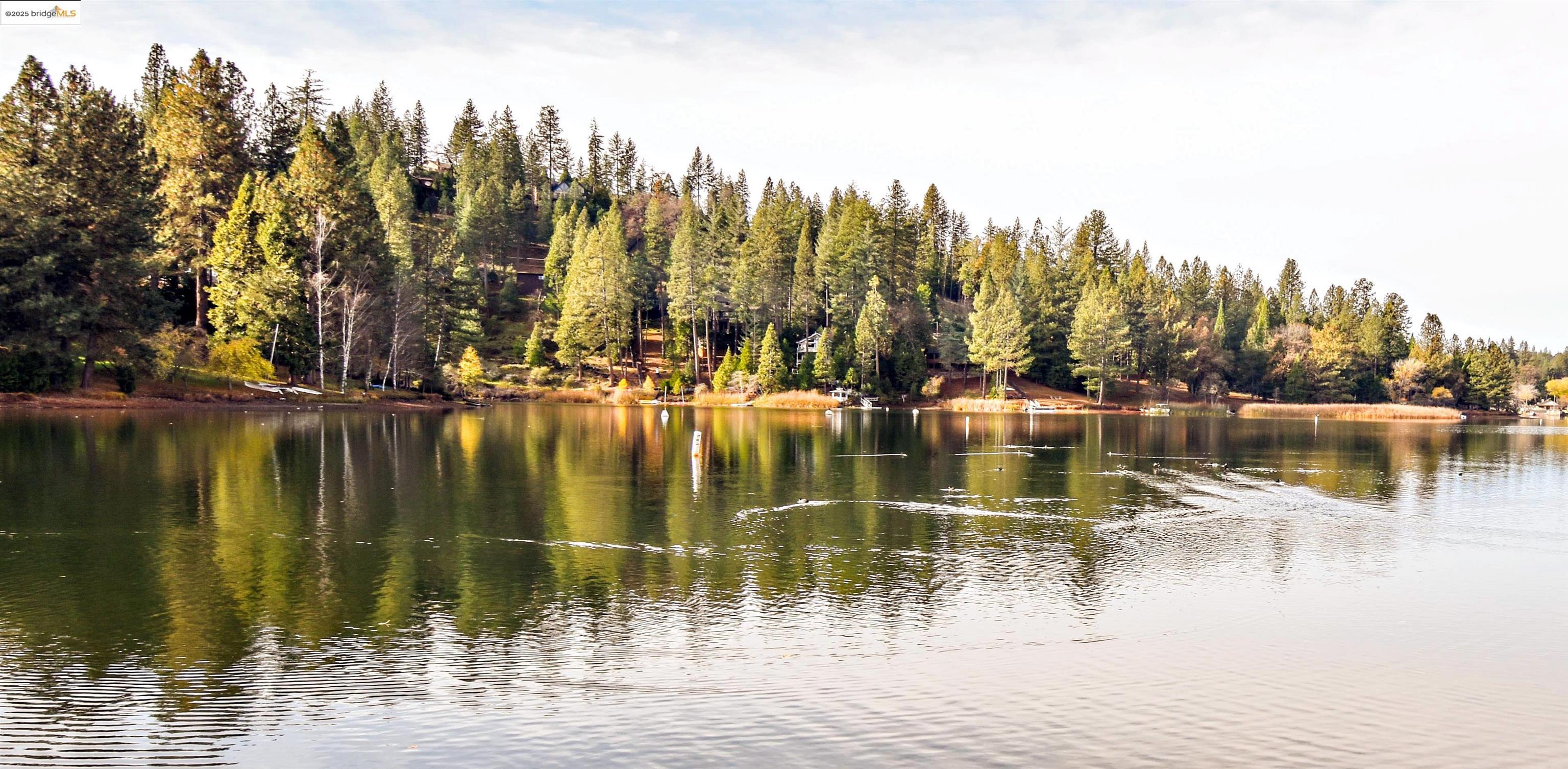 Detail Gallery Image 36 of 44 For 20887 Big Foot Ct, Groveland,  CA 95321 - 3 Beds | 2 Baths