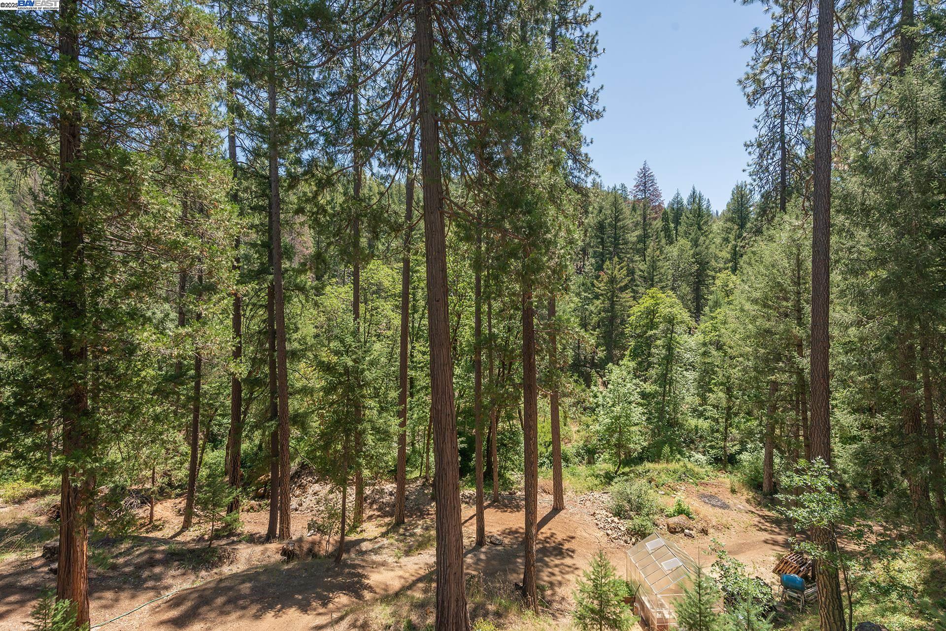 Detail Gallery Image 45 of 57 For 4298 Little Browns Creek Rd, Weaverville,  CA 96093 - 3 Beds | 1 Baths