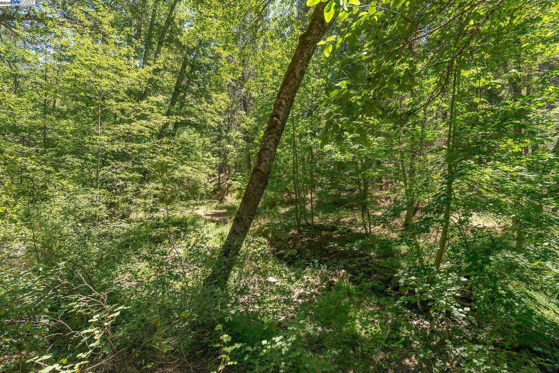 Detail Gallery Image 50 of 57 For 4298 Little Browns Creek Rd, Weaverville,  CA 96093 - 3 Beds | 1 Baths