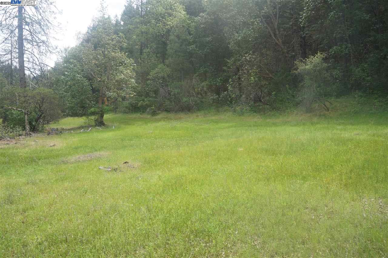 Front Image Thumbnail for BE41118943