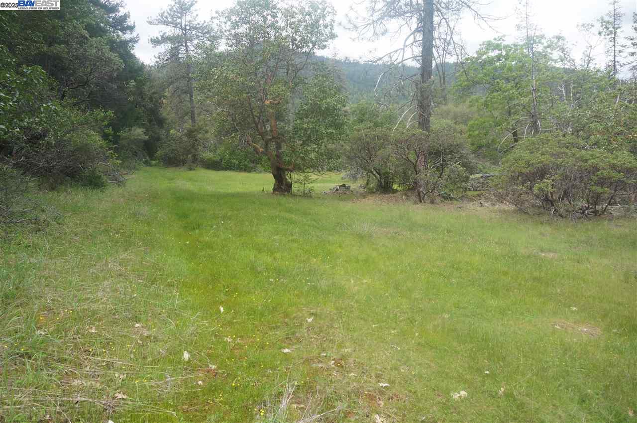 Detail Gallery Image 11 of 26 For 6269 Dutch Creek, –,  CA 96048 - – Beds | – Baths