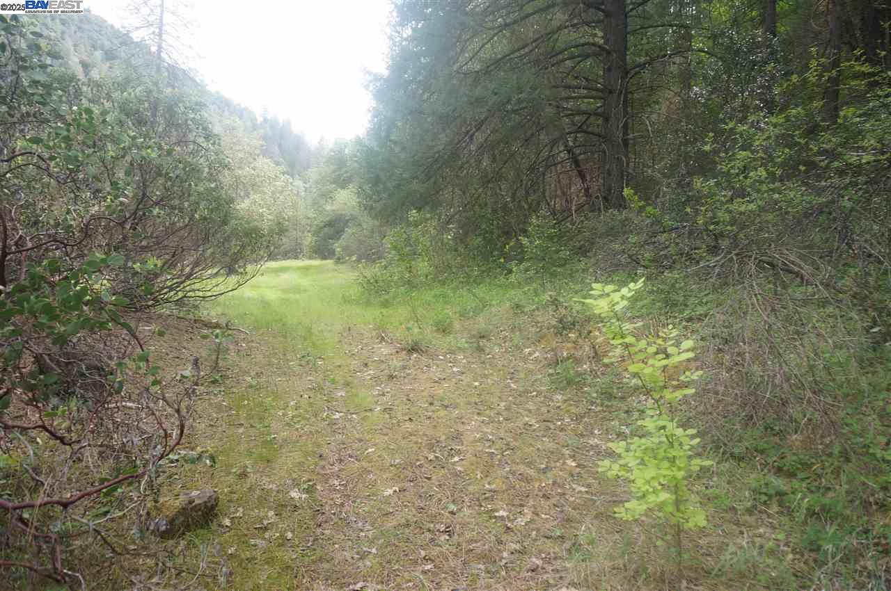 Detail Gallery Image 13 of 26 For 6269 Dutch Creek, –,  CA 96048 - – Beds | – Baths