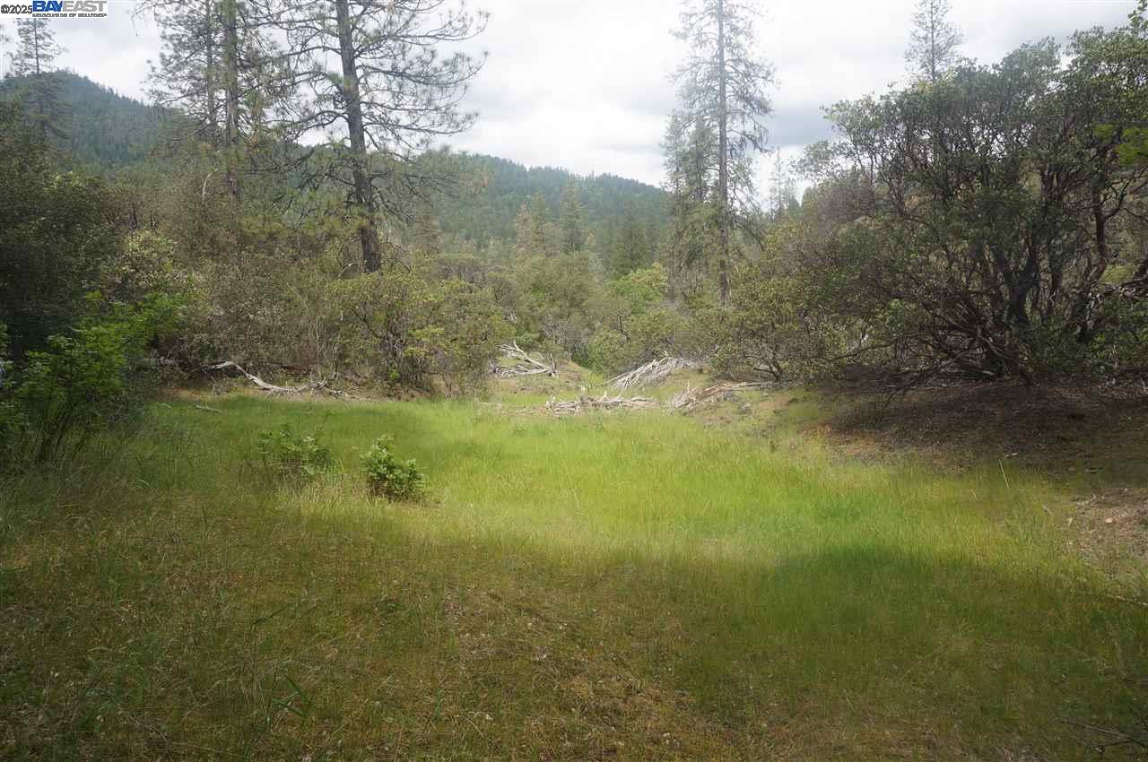 Detail Gallery Image 14 of 26 For 6269 Dutch Creek, –,  CA 96048 - – Beds | – Baths