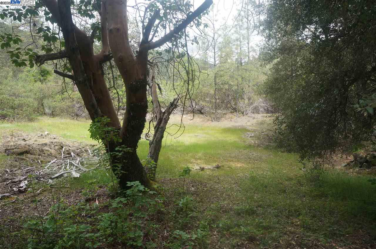 Detail Gallery Image 17 of 26 For 6269 Dutch Creek, –,  CA 96048 - – Beds | – Baths