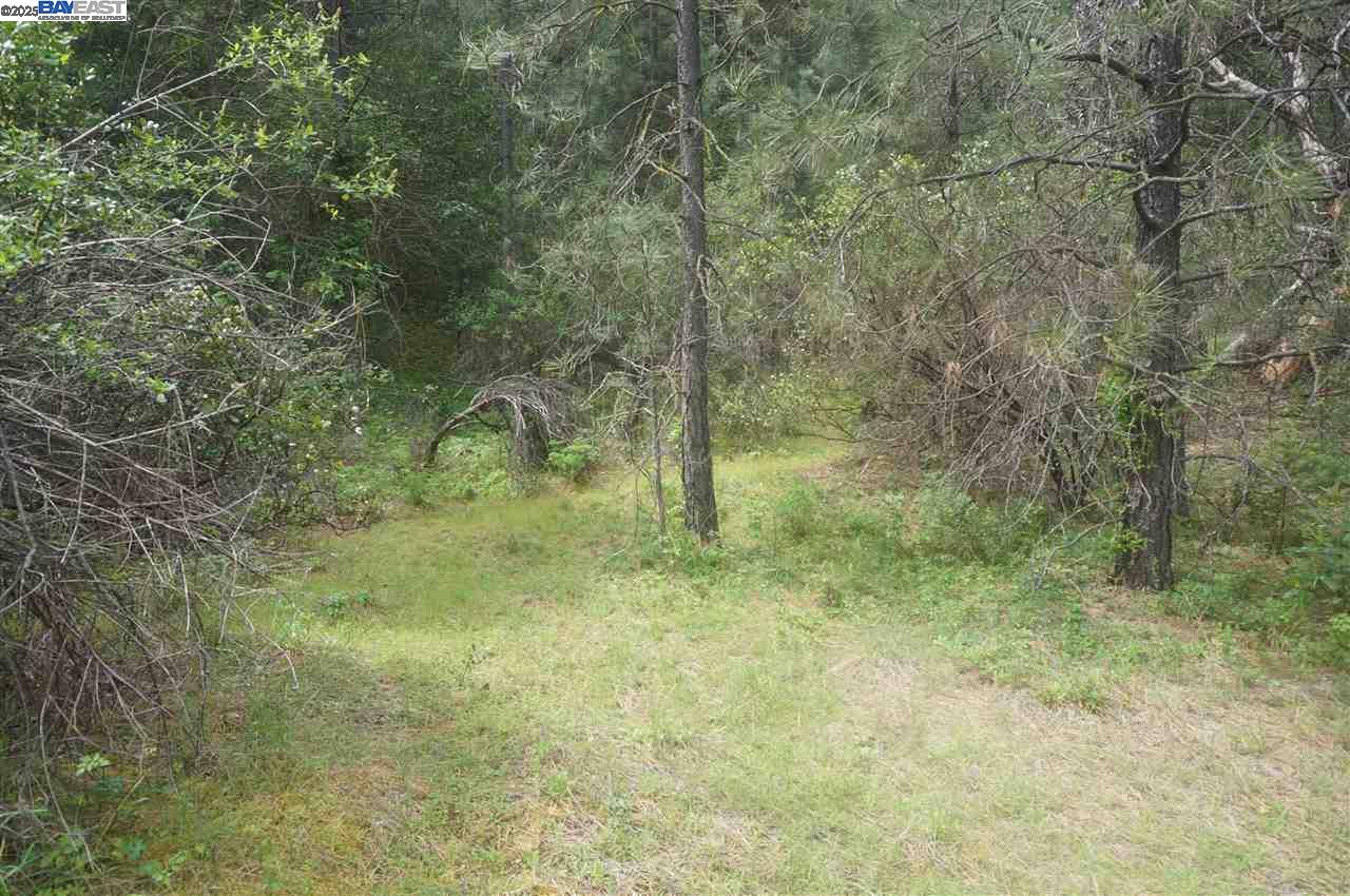 Detail Gallery Image 21 of 26 For 6269 Dutch Creek, –,  CA 96048 - – Beds | – Baths