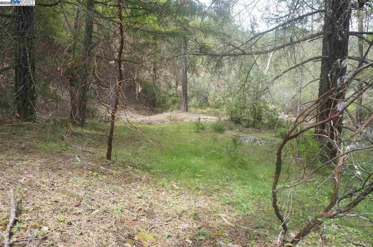 Detail Gallery Image 24 of 26 For 6269 Dutch Creek, –,  CA 96048 - – Beds | – Baths