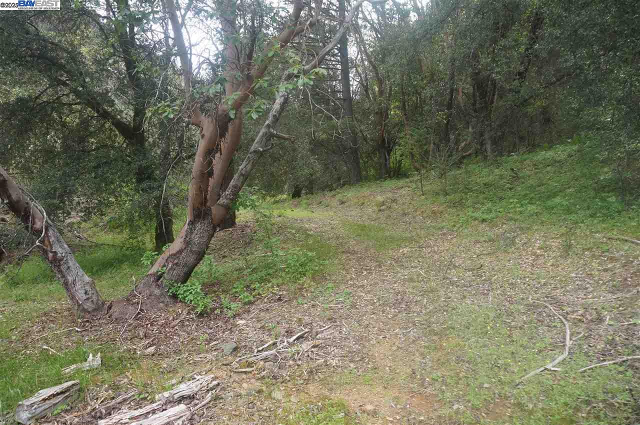 Detail Gallery Image 4 of 26 For 6269 Dutch Creek, –,  CA 96048 - – Beds | – Baths