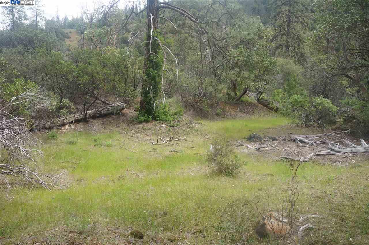 Detail Gallery Image 6 of 26 For 6269 Dutch Creek, –,  CA 96048 - – Beds | – Baths