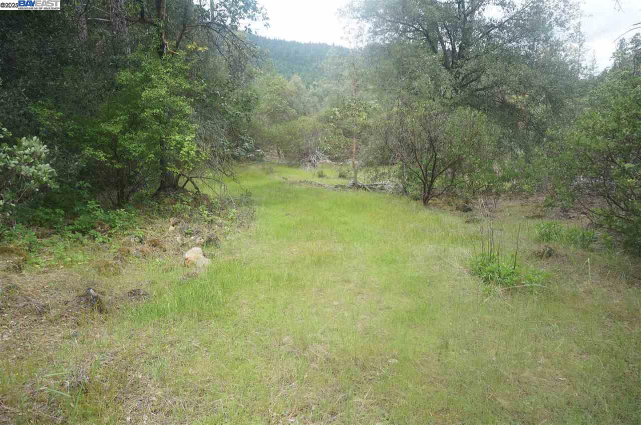 Detail Gallery Image 7 of 26 For 6269 Dutch Creek, –,  CA 96048 - – Beds | – Baths