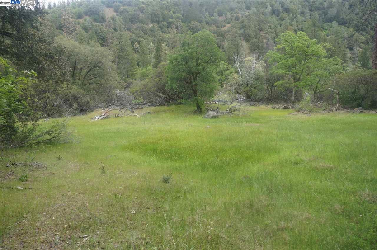 Detail Gallery Image 8 of 26 For 6269 Dutch Creek, –,  CA 96048 - – Beds | – Baths