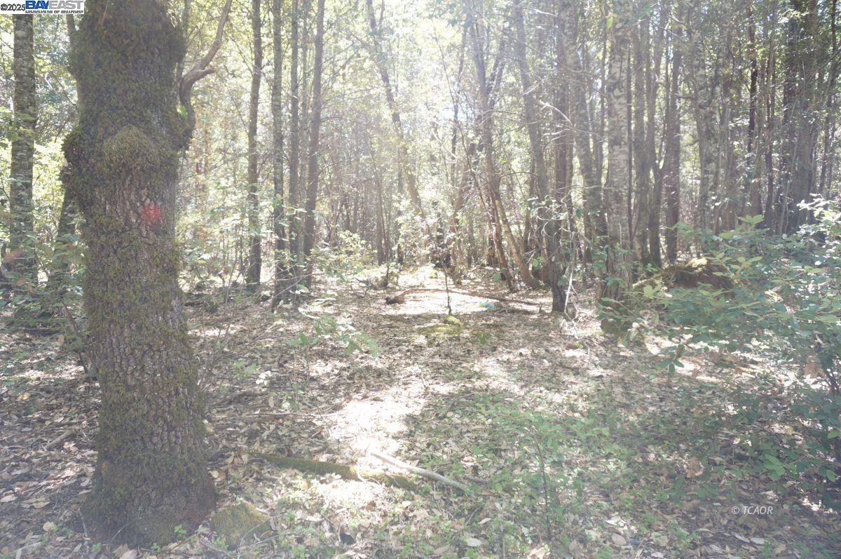 Detail Gallery Image 3 of 9 For 30 Suzy Q Rd, Salyer,  CA 95527 - – Beds | – Baths