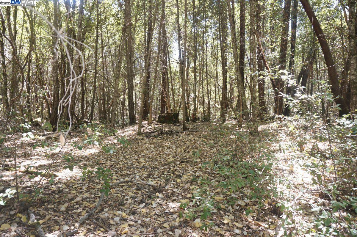 Detail Gallery Image 5 of 9 For 30 Suzy Q Rd, Salyer,  CA 95527 - – Beds | – Baths