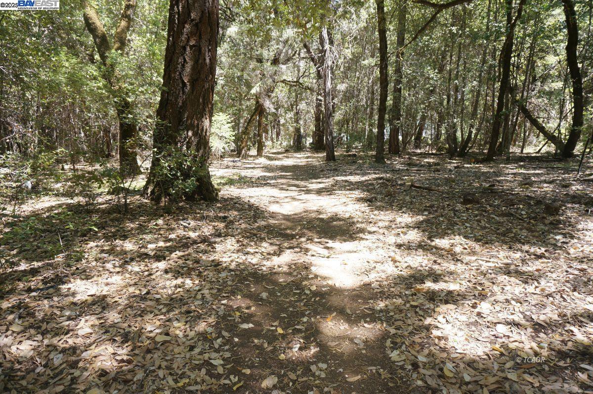 Detail Gallery Image 6 of 9 For 30 Suzy Q Rd, Salyer,  CA 95527 - – Beds | – Baths