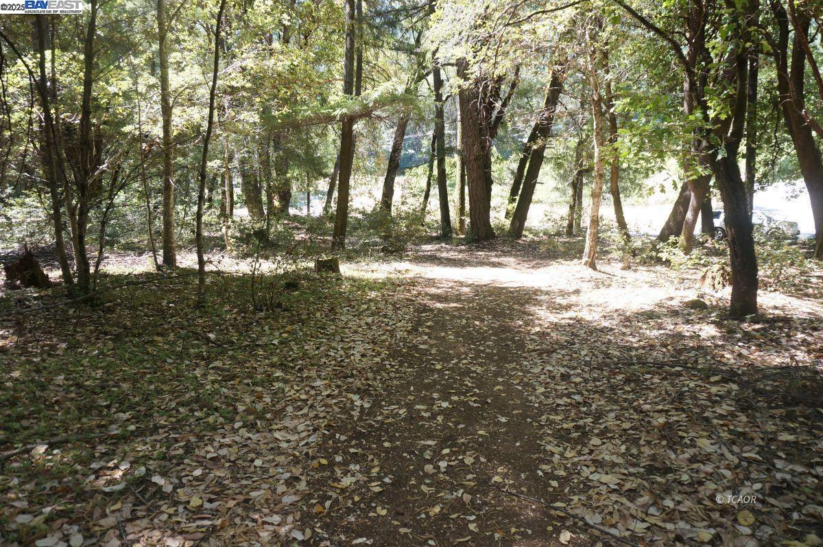 Detail Gallery Image 7 of 9 For 30 Suzy Q Rd, Salyer,  CA 95527 - – Beds | – Baths