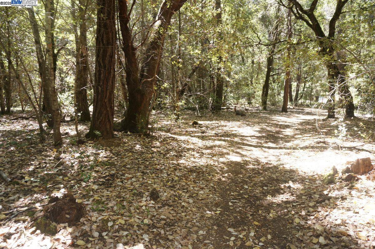 Detail Gallery Image 9 of 9 For 30 Suzy Q Rd, Salyer,  CA 95527 - – Beds | – Baths