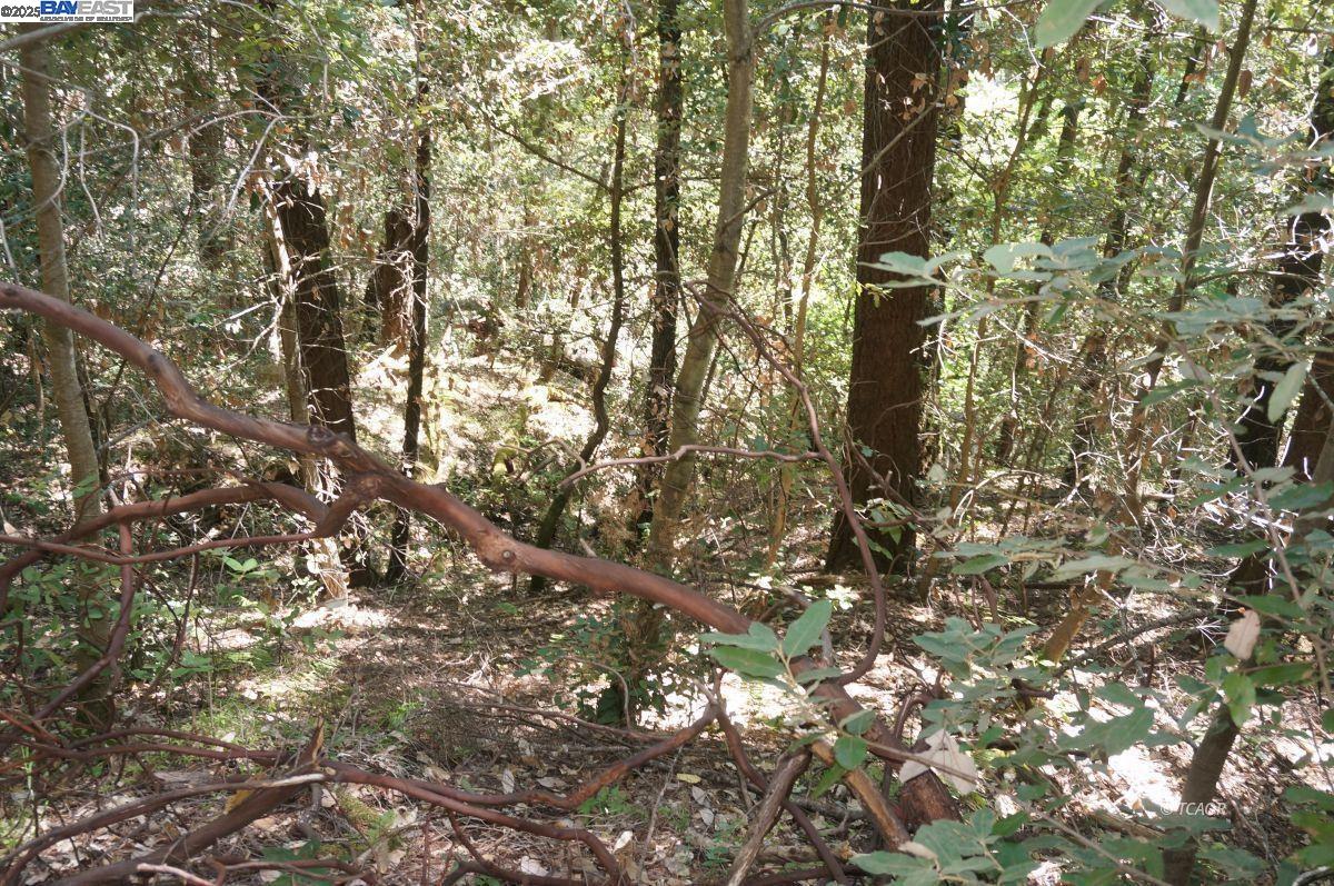 Detail Gallery Image 11 of 15 For 4271 State Hwy 299 Rd, Salyer,  CA 95527 - – Beds | – Baths