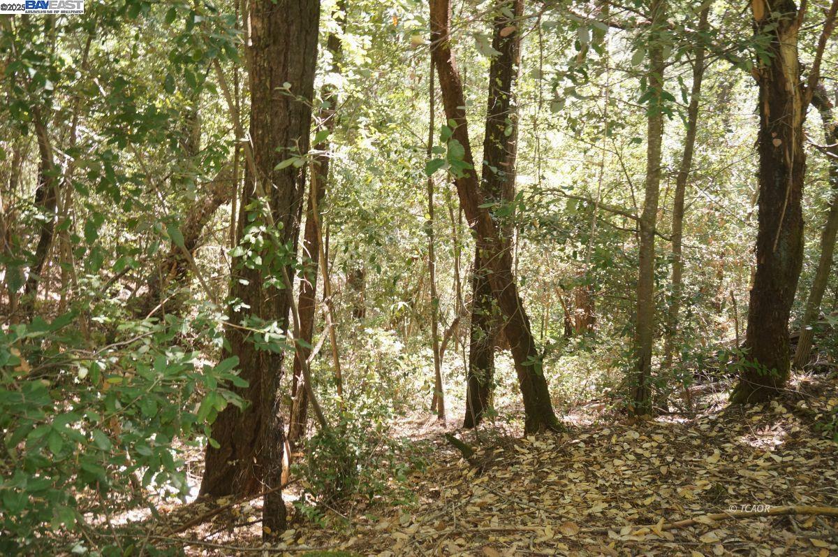 Detail Gallery Image 15 of 15 For 4271 State Hwy 299 Rd, Salyer,  CA 95527 - – Beds | – Baths