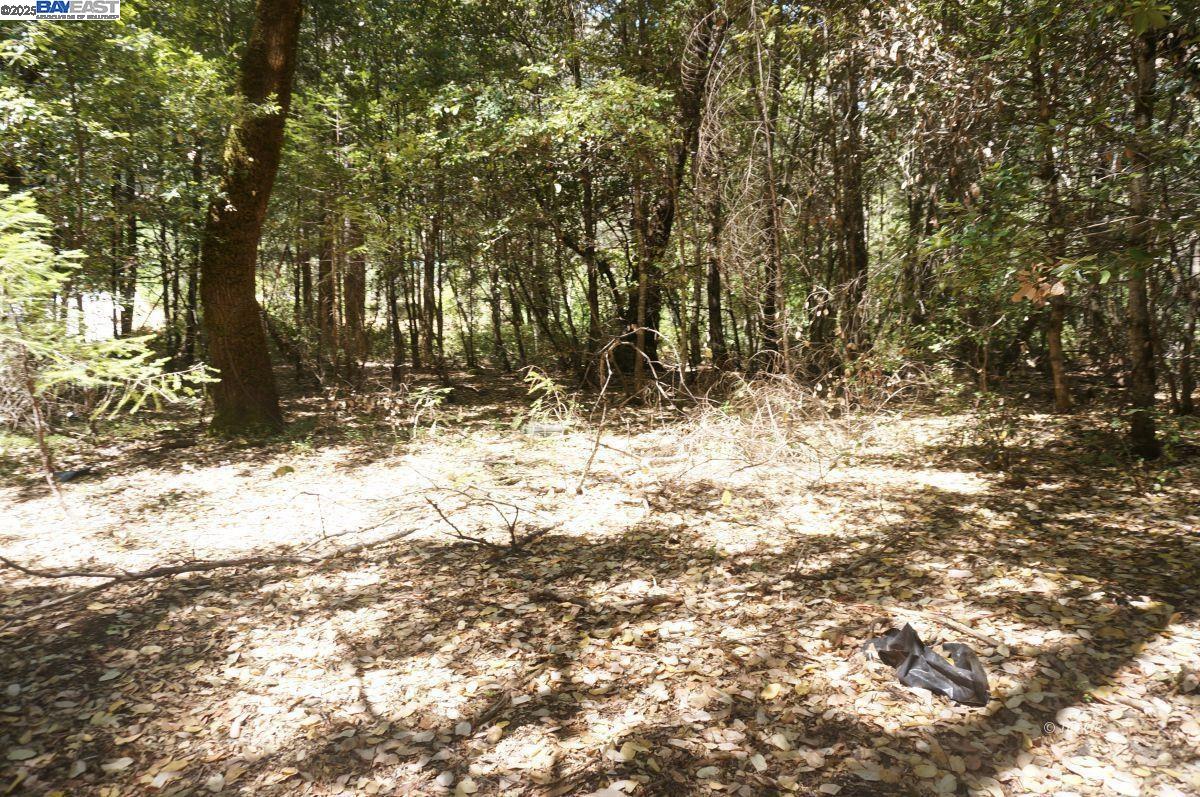 Detail Gallery Image 4 of 15 For 4271 State Hwy 299 Rd, Salyer,  CA 95527 - – Beds | – Baths