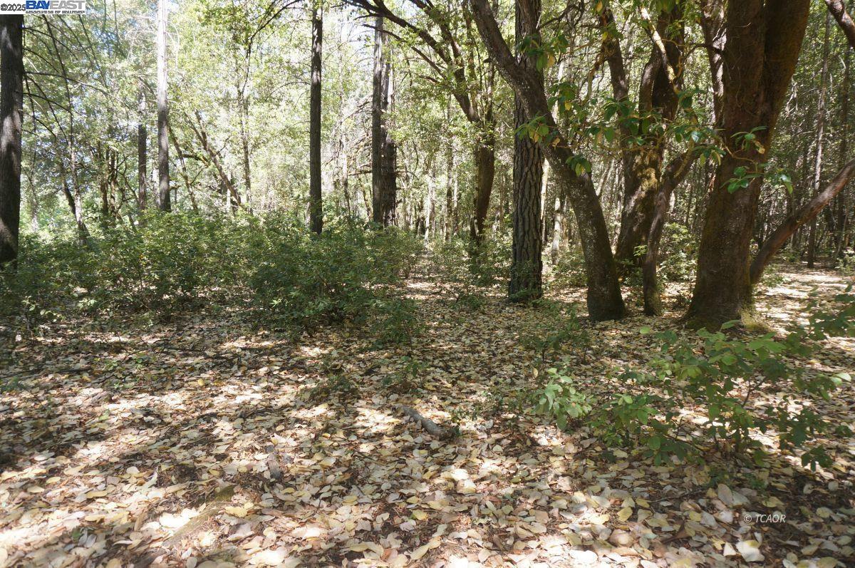 Detail Gallery Image 6 of 15 For 4271 State Hwy 299 Rd, Salyer,  CA 95527 - – Beds | – Baths