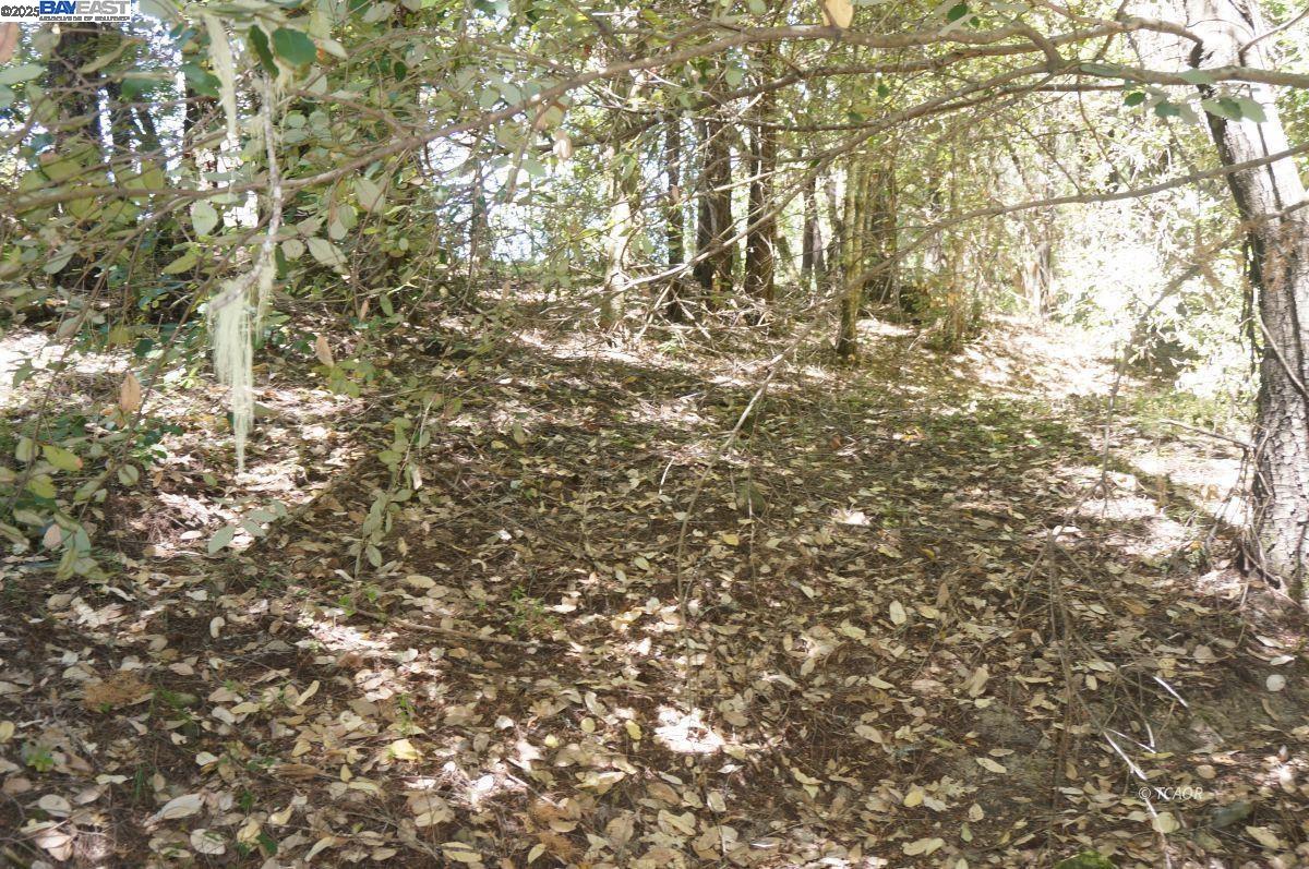 Detail Gallery Image 9 of 15 For 4271 State Hwy 299 Rd, Salyer,  CA 95527 - – Beds | – Baths