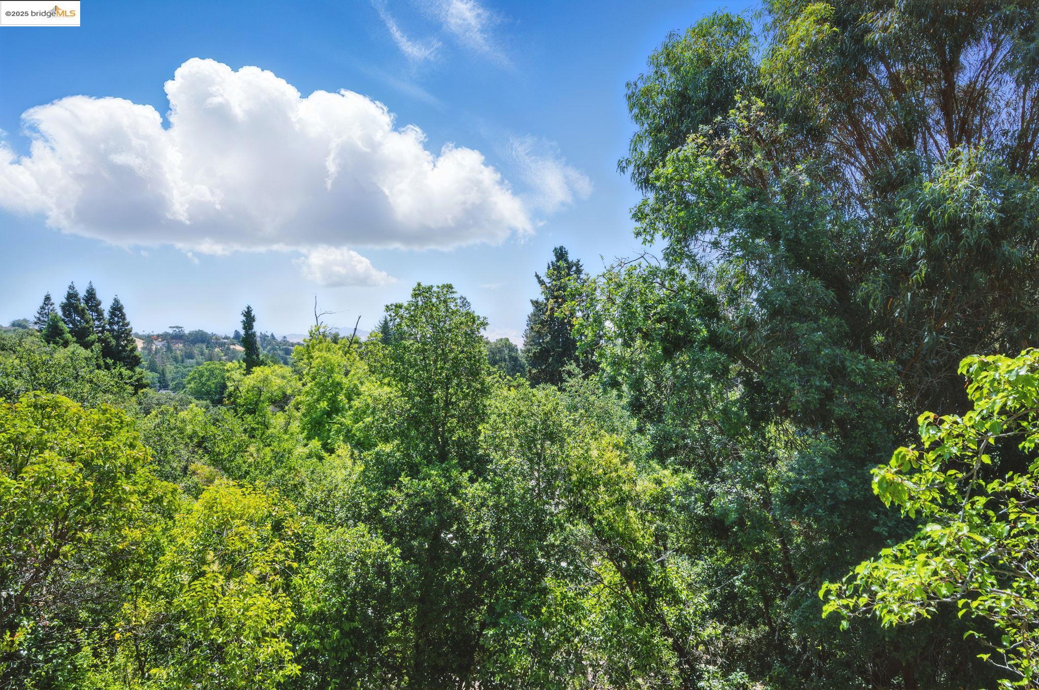 Detail Gallery Image 15 of 15 For 3374 Kim Rd, Lafayette,  CA 94549 - 3 Beds | 2/1 Baths