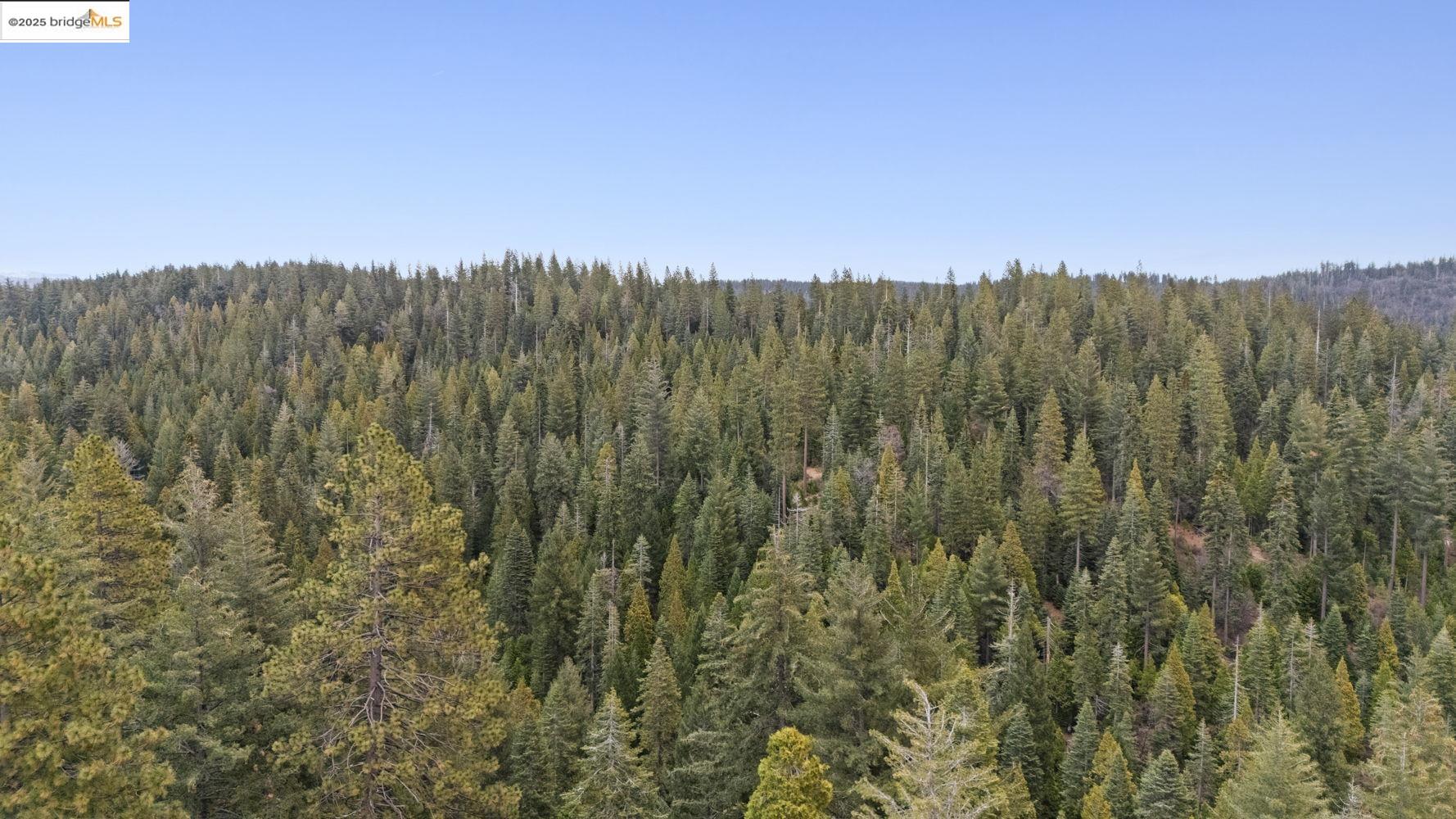 Detail Gallery Image 21 of 29 For 25728 Upper Scenic Dr, Long Barn,  CA 95335 - 1 Beds | 1 Baths