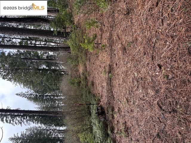 Detail Gallery Image 29 of 29 For 25728 Upper Scenic Dr, Long Barn,  CA 95335 - 1 Beds | 1 Baths