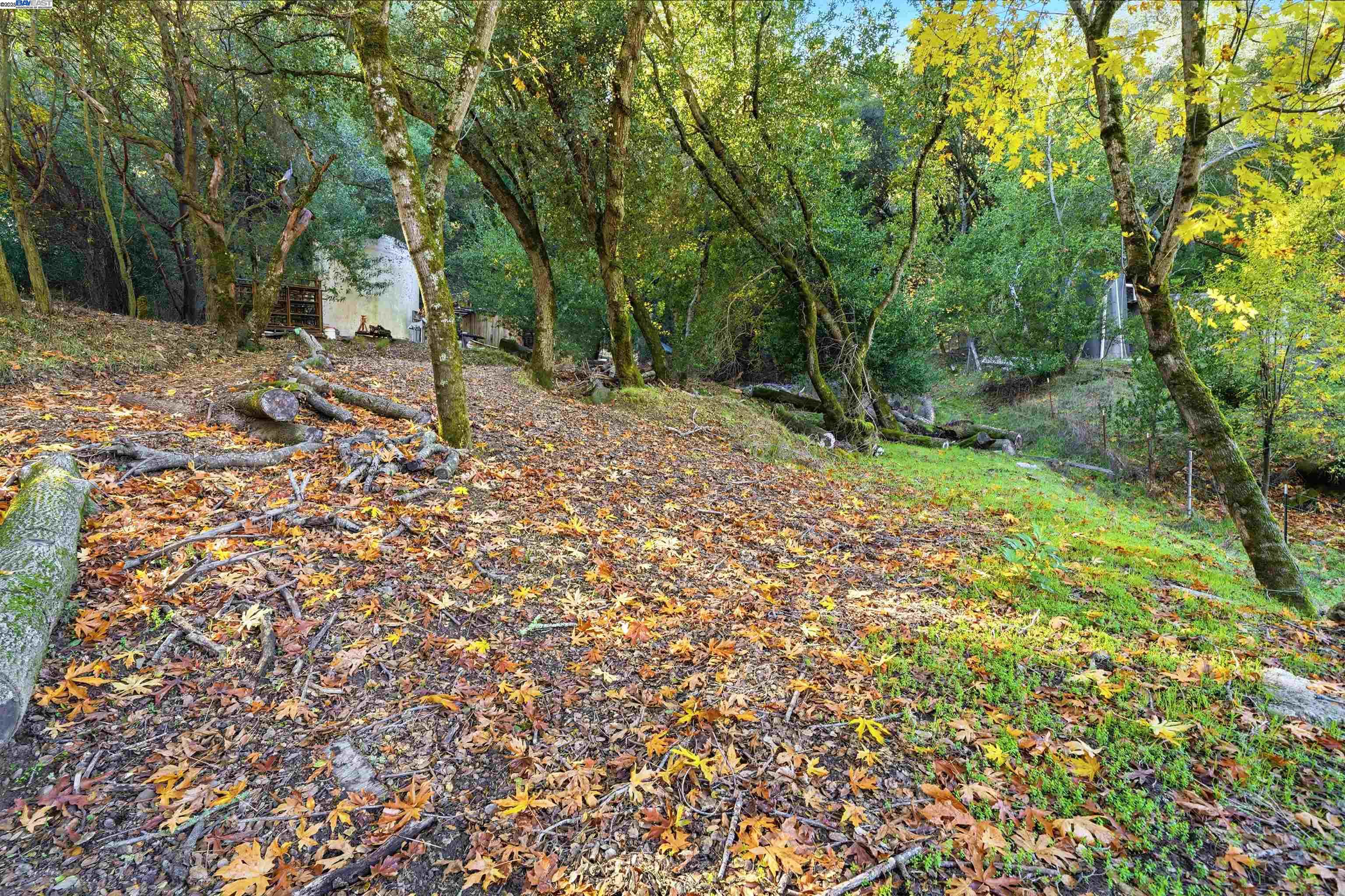 Detail Gallery Image 34 of 34 For 36215 Palomares Rd, Castro Valley,  CA 94552 - 1 Beds | 3 Baths