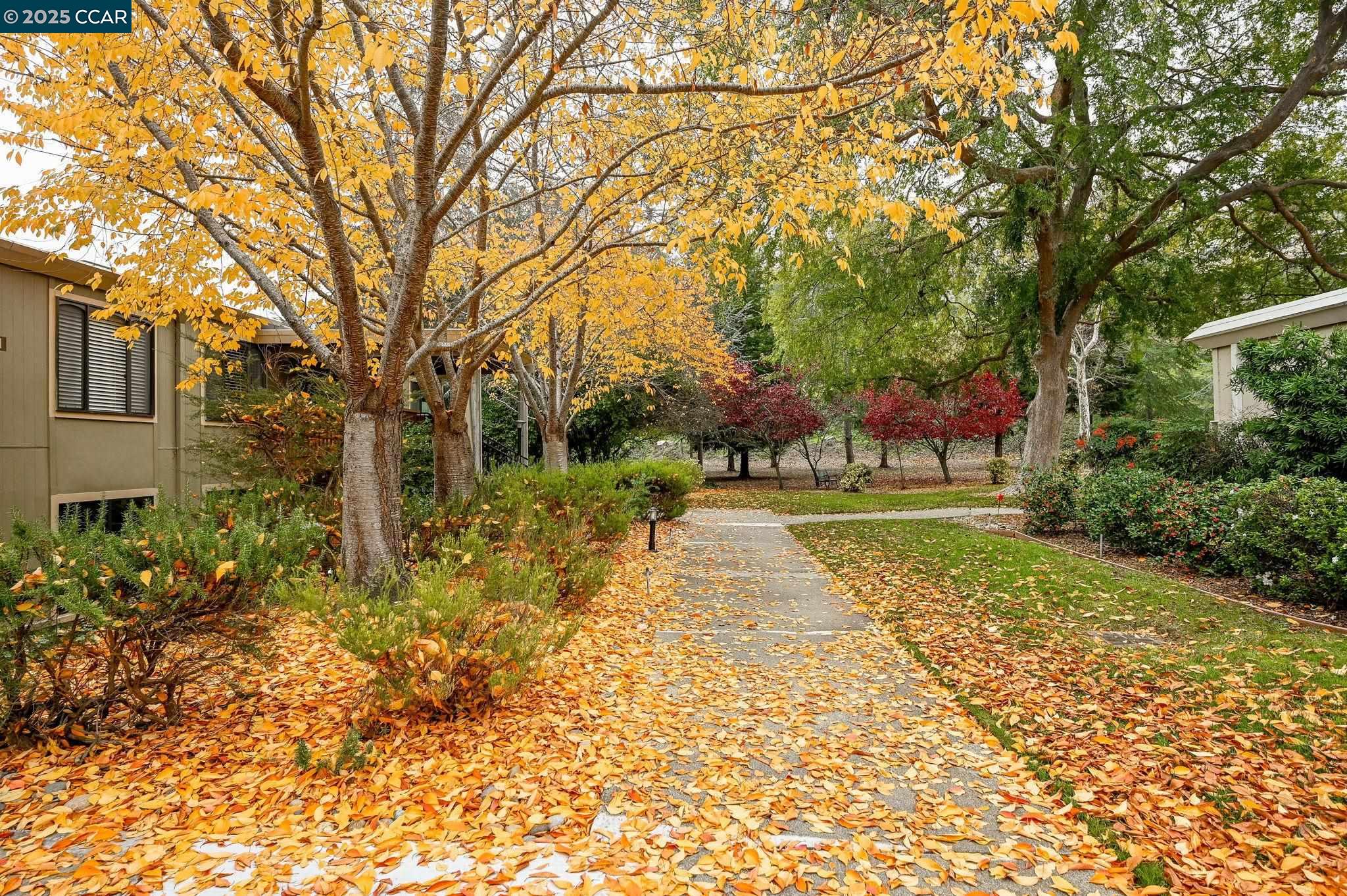 Detail Gallery Image 2 of 31 For 1131 Oakmont Drive #6,  Walnut Creek,  CA 94595 - 2 Beds | 2 Baths