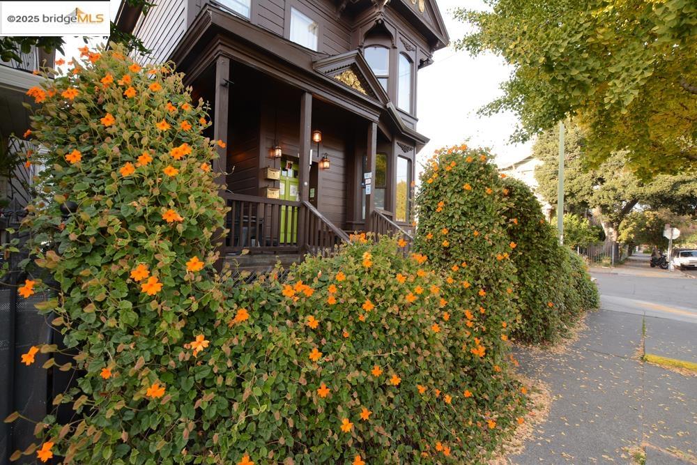 Detail Gallery Image 51 of 56 For 1633 8th St, Oakland,  CA 94607 - – Beds | – Baths