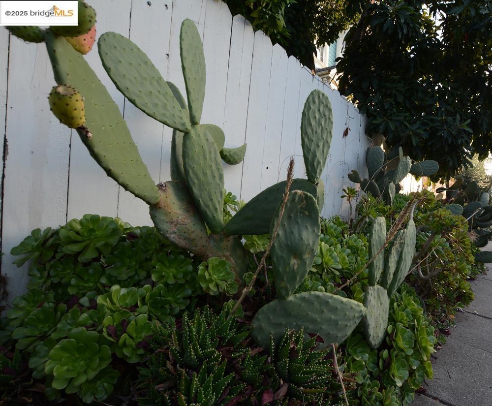 Detail Gallery Image 54 of 56 For 1633 8th St, Oakland,  CA 94607 - – Beds | – Baths