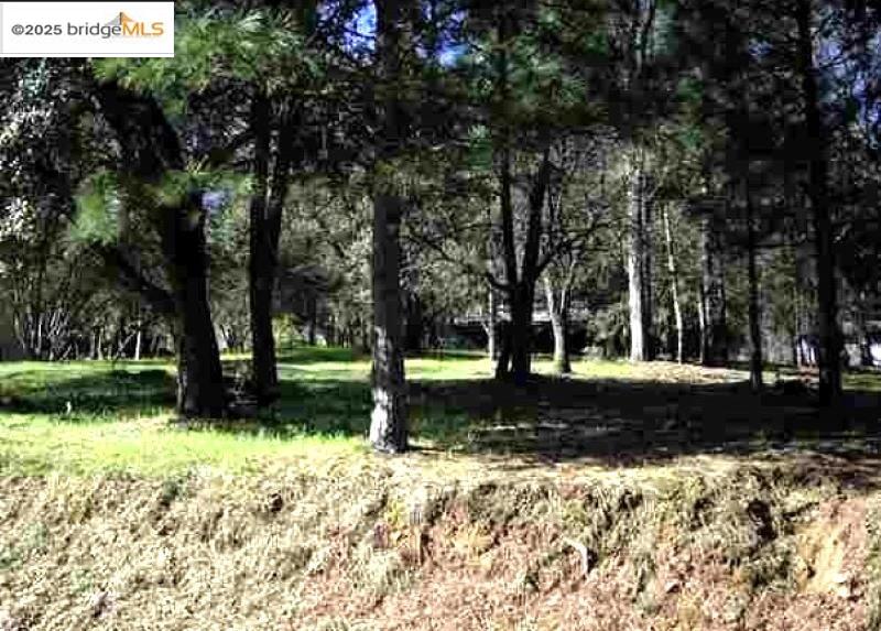 Front Image Thumbnail for EB41119032