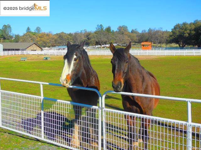 Detail Gallery Image 17 of 23 For 13137 Jackson Mill Dr, Groveland,  CA 95321 - – Beds | – Baths