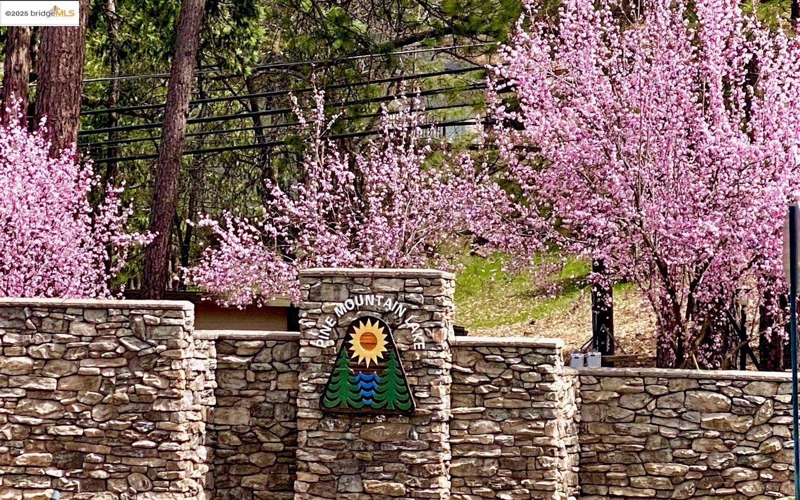 Detail Gallery Image 23 of 23 For 13137 Jackson Mill Dr, Groveland,  CA 95321 - – Beds | – Baths