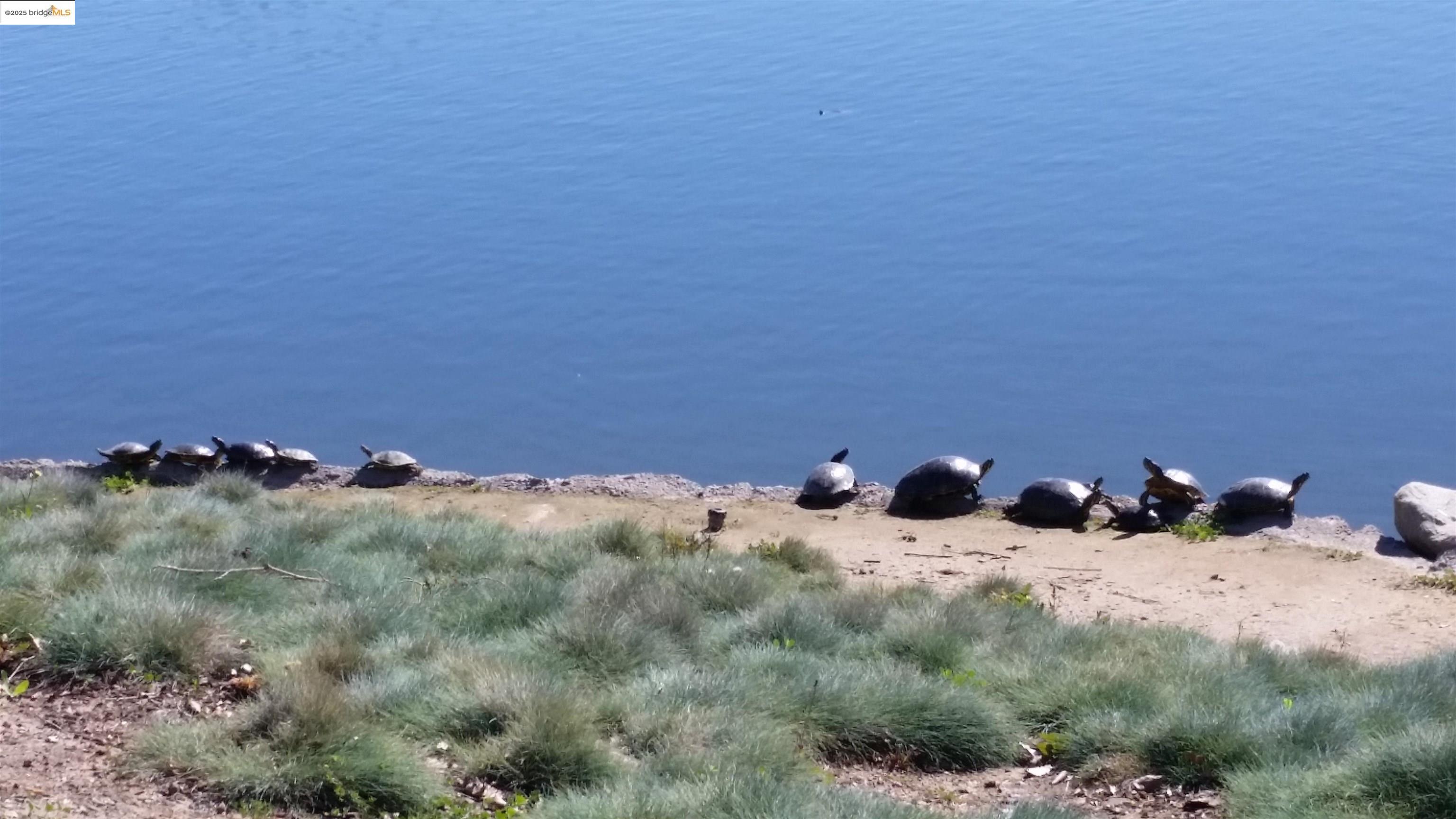 Detail Gallery Image 36 of 39 For 4794 Snowy Egret Way, Oakley,  CA 94561 - 4 Beds | 2/1 Baths