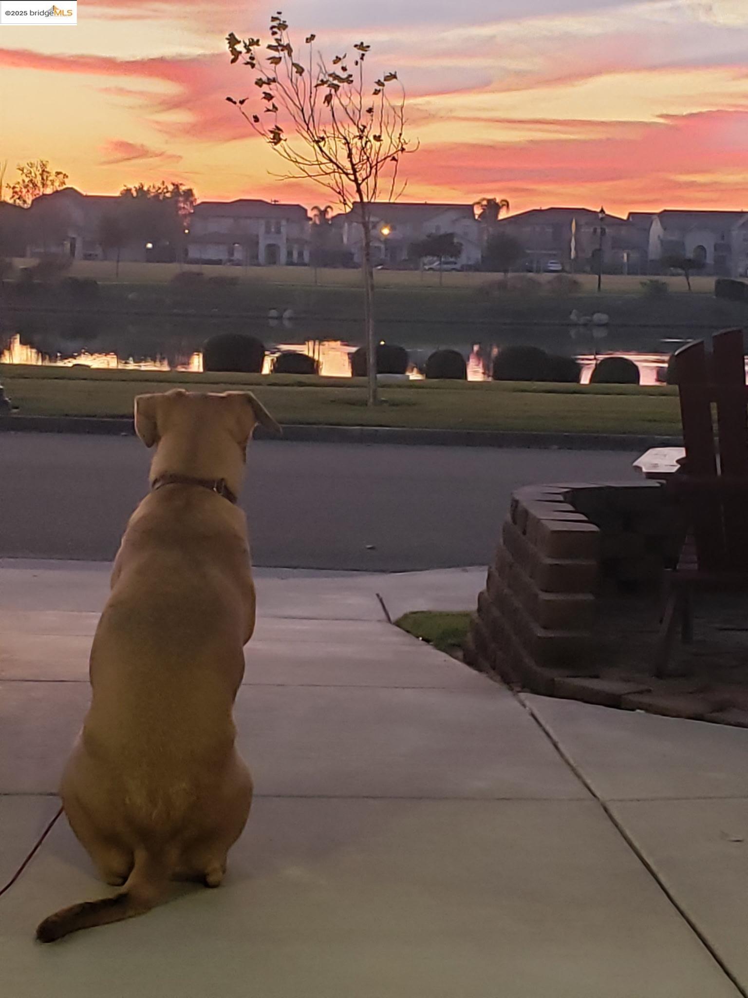 Detail Gallery Image 37 of 39 For 4794 Snowy Egret Way, Oakley,  CA 94561 - 4 Beds | 2/1 Baths