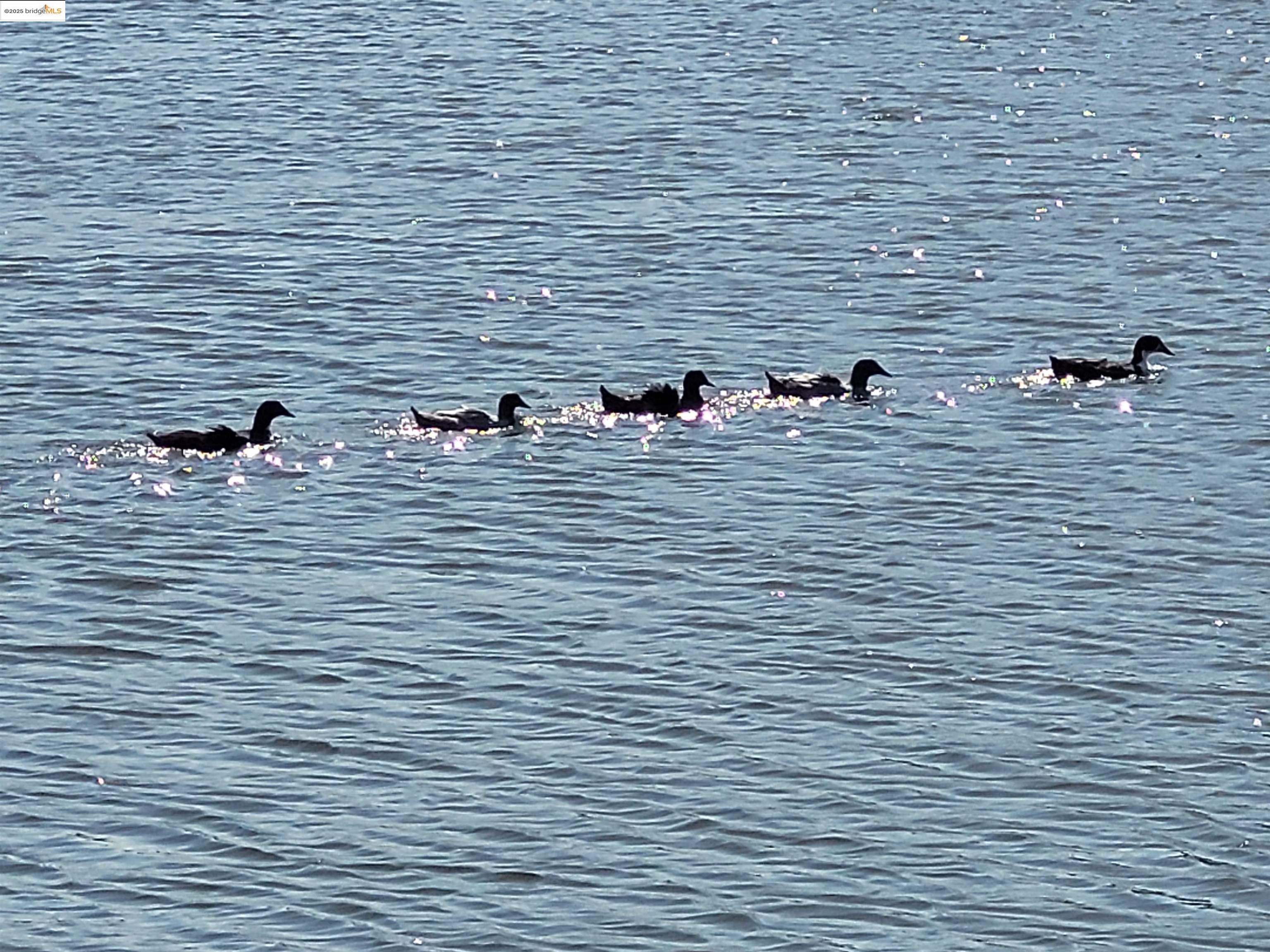 Detail Gallery Image 39 of 39 For 4794 Snowy Egret Way, Oakley,  CA 94561 - 4 Beds | 2/1 Baths