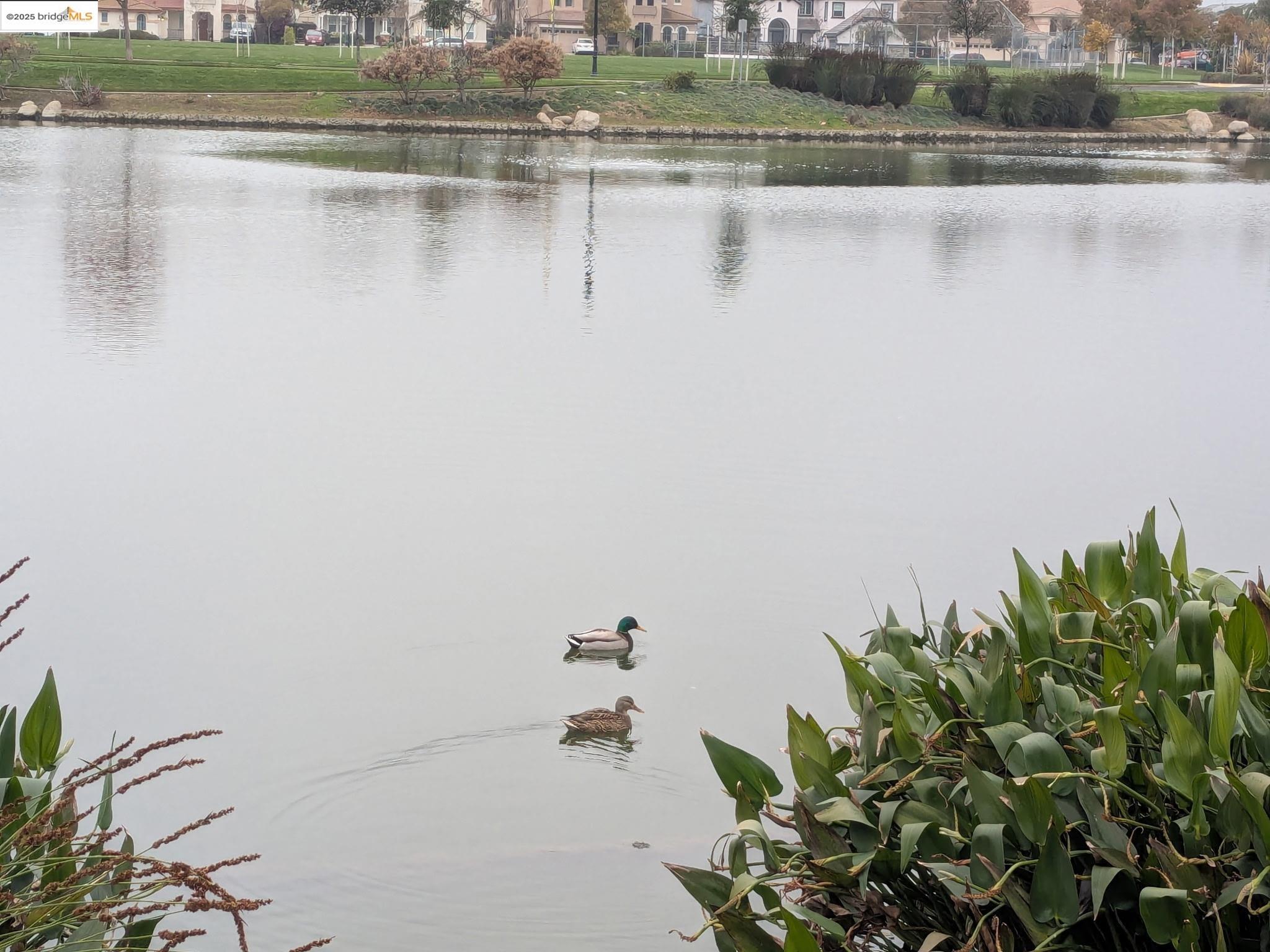 Detail Gallery Image 8 of 39 For 4794 Snowy Egret Way, Oakley,  CA 94561 - 4 Beds | 2/1 Baths